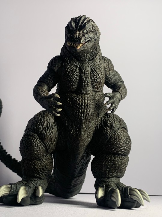 海雅哥斯拉2001到货随拍