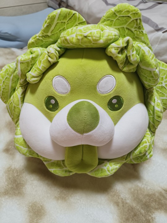 菜狗菜狗菜狗！