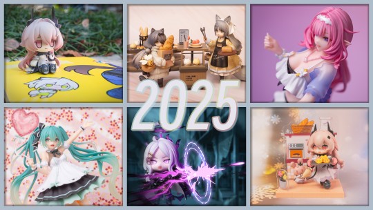 [2025年终总结]开始上传的第一年