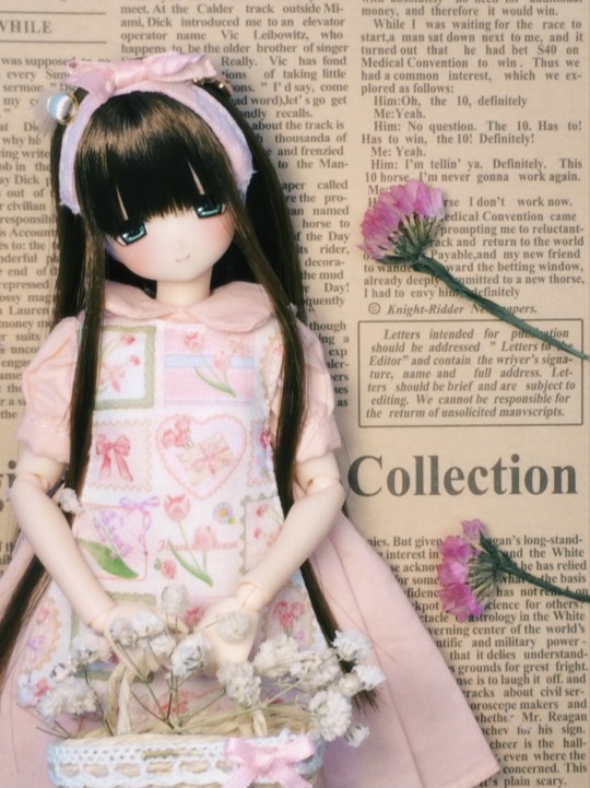 ࣪ ˖ ⭒🌸 ⭒  ࣪ ˖