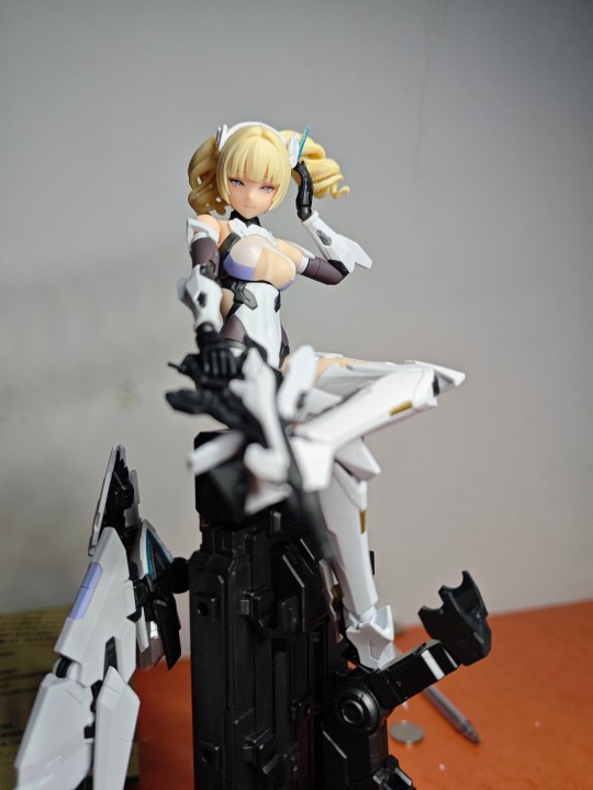 又呆又皮的矛隼