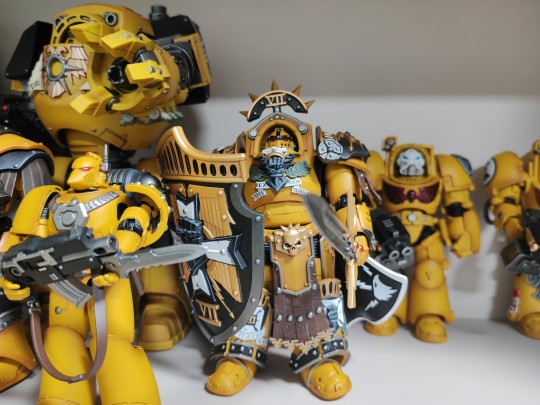 春节前最后一个终于收到啦