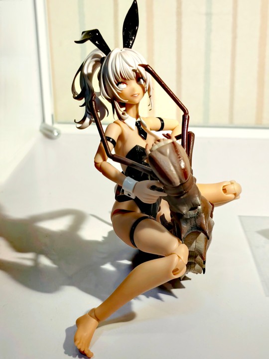 是黑皮兔女郎大战苹蚁舟蛾幼虫口牙