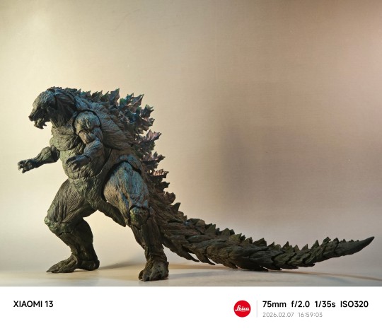 素质中上的一款模型