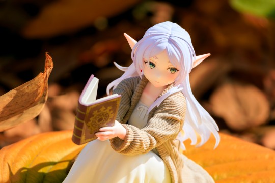 [2025 PAH模型摄影联赛]最可爱的老东西