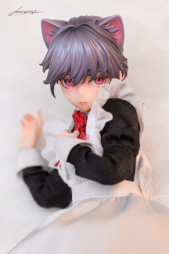 是谁家的小猫咪？神猫跳动 菲奇子