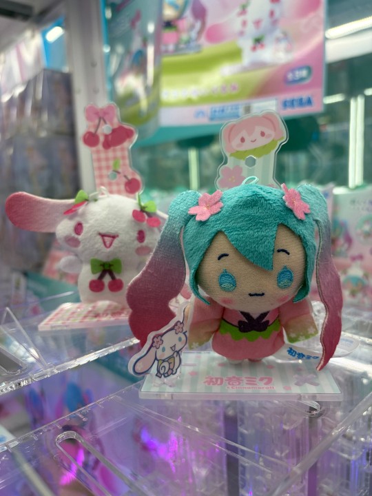 转载世嘉初音玉桂狗联名樱花景品毛绒大货实物图