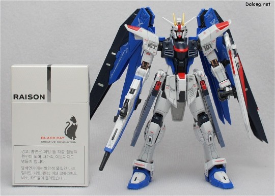 大龙评测 RG#05  自由高达