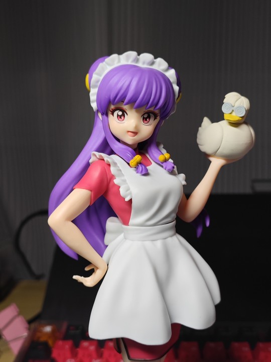 猫饭店能变猫的旗袍丸子头看板娘珊璞是对的⭕