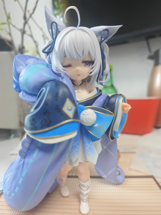 小信浓到手了