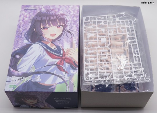 大龙板件/盒子图 创彩少女庭园 药师寺久远 桃樱高中校服