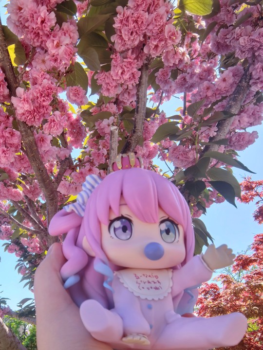 带着宝宝赏花
