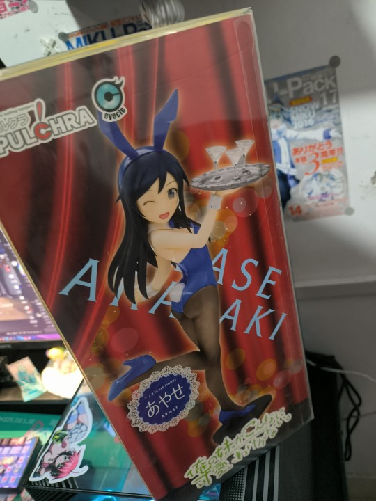 展示贴