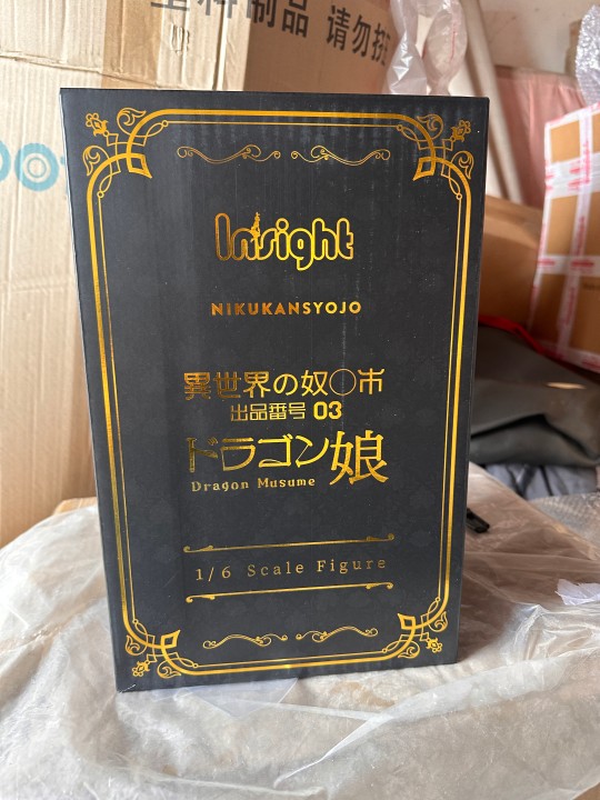 insight龙娘