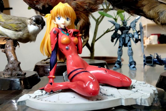 寿屋 新世纪福音战士 EVA 明日香 战斗服 坐姿跪姿