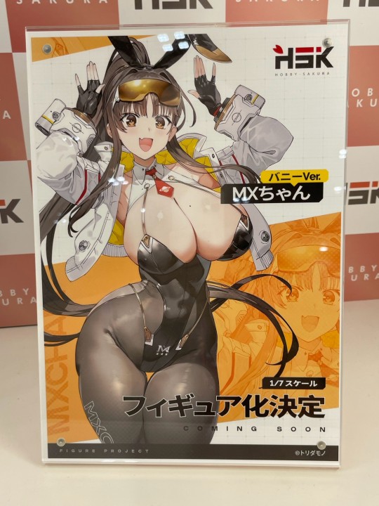 转载 HSK MX酱 BUNNY.