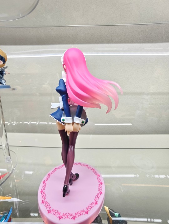 女仆雏菊