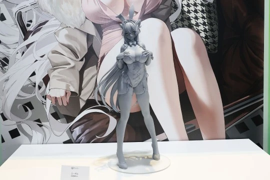 展图