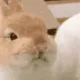 雾雨夏亚