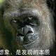 一命二运三风水