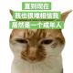 刚好遇见你
