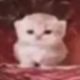 lonelong