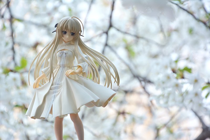 缘之空 春日野穹