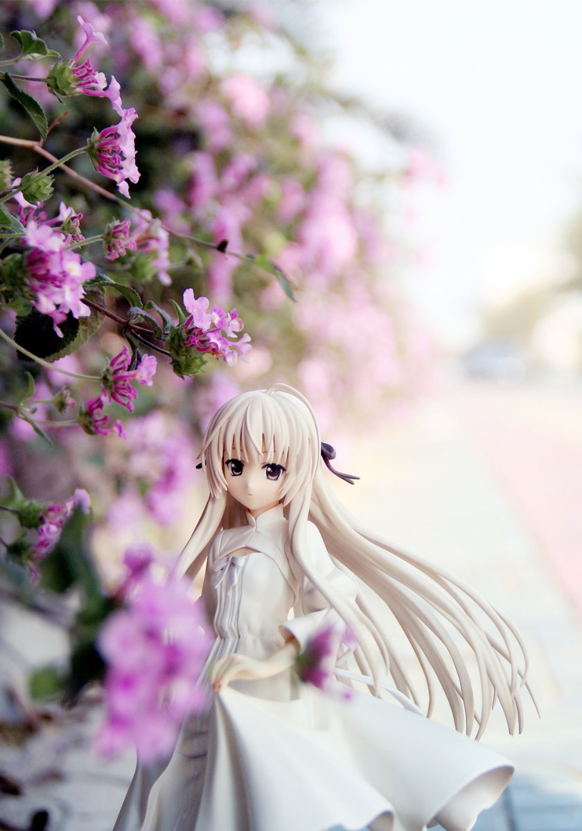 缘之空 春日野穹