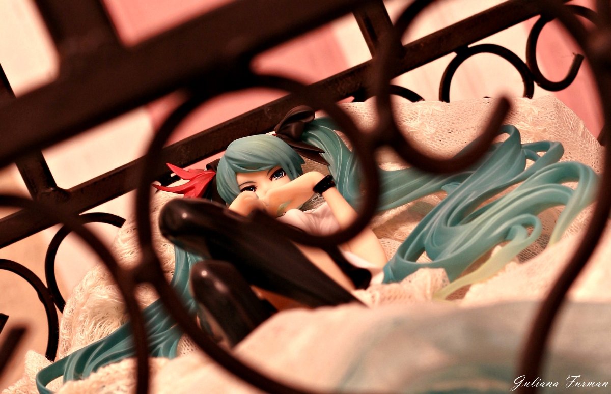 supercell feat. 初音未来 世界第一公主［棕色画框］