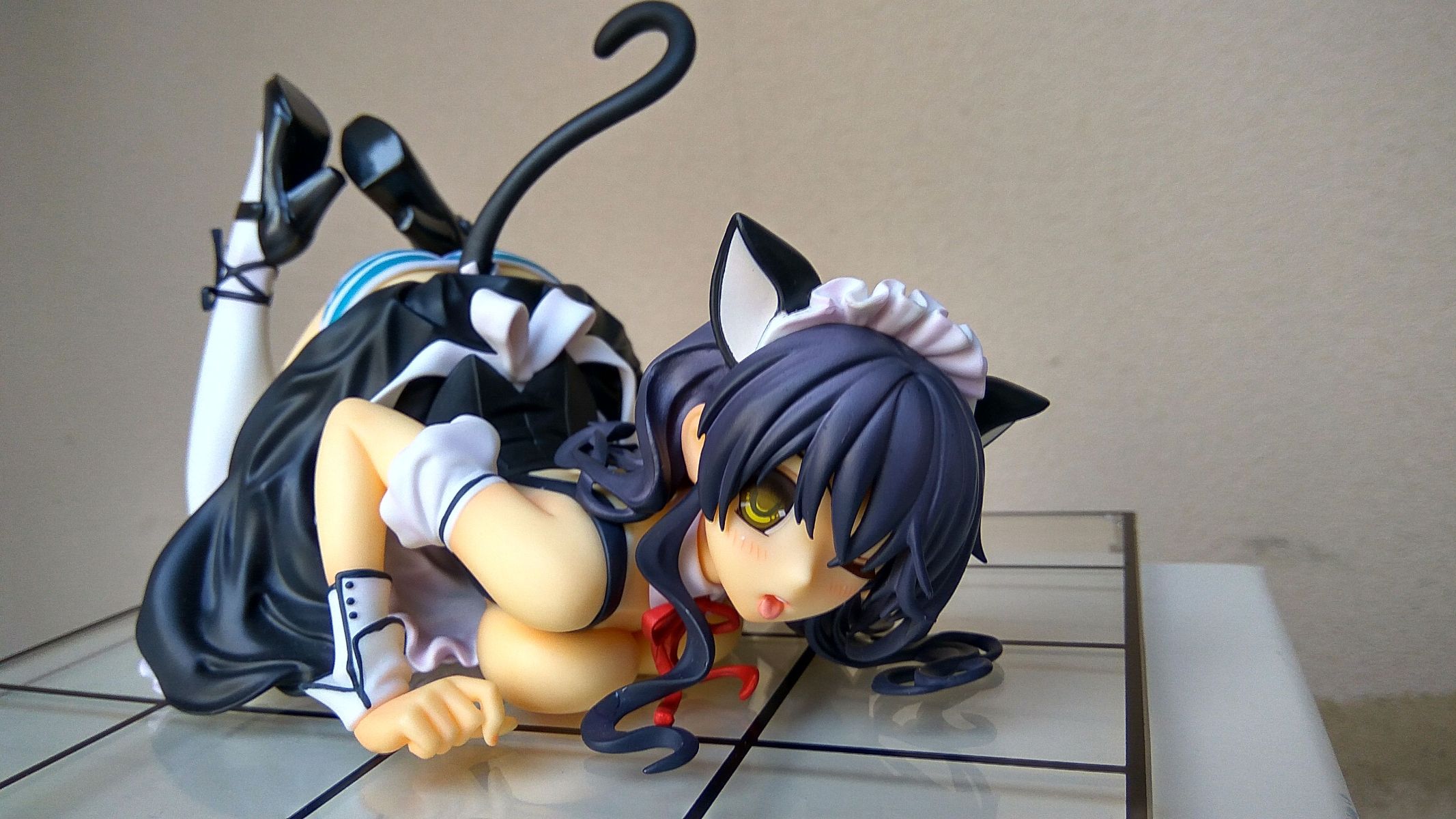 CAT LAP MILK