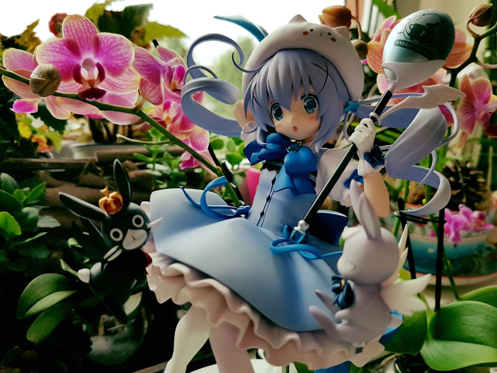 请问您今天要来点兔子吗？？ 香风智乃&提比&豆馅&Wild Geese