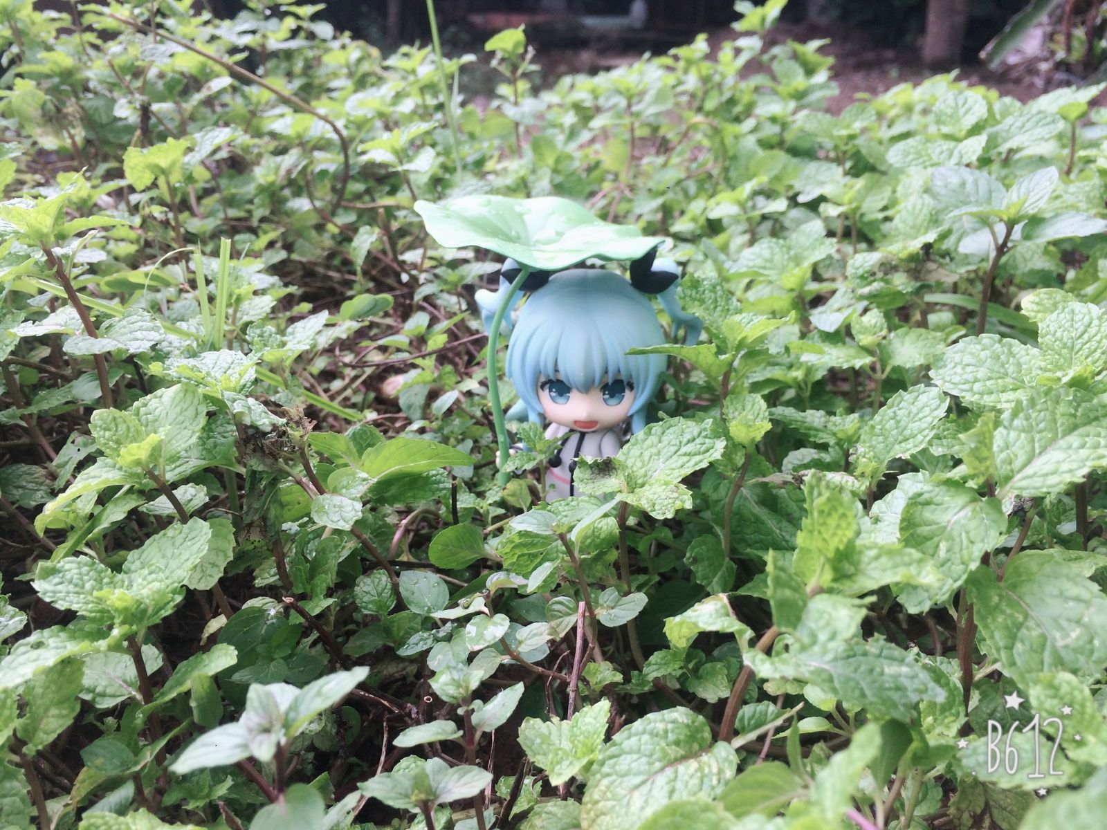 粘土人 #498 天体的秩序 诺艾尔