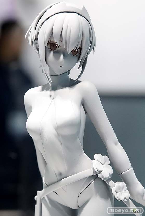 Fate/Grand Order 静谧哈桑 Assassin