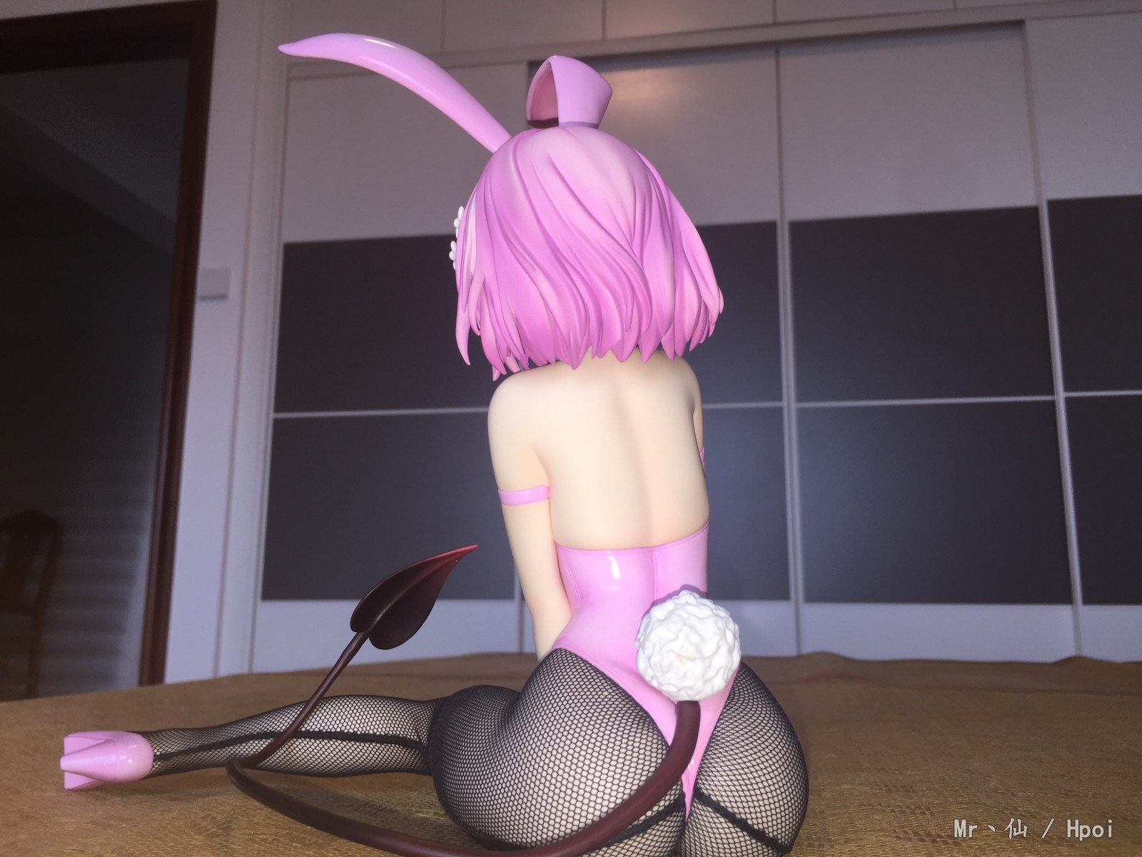 Freeing兔女郎战队——梦梦