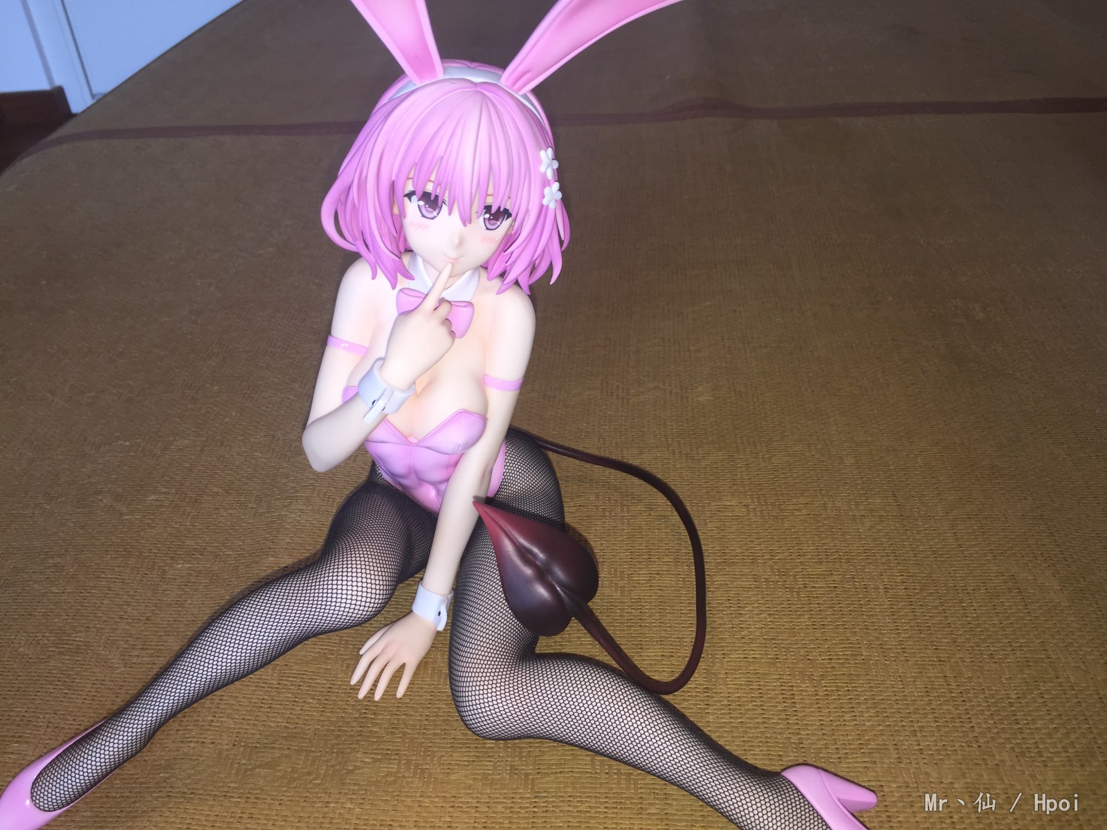 Freeing兔女郎战队——梦梦