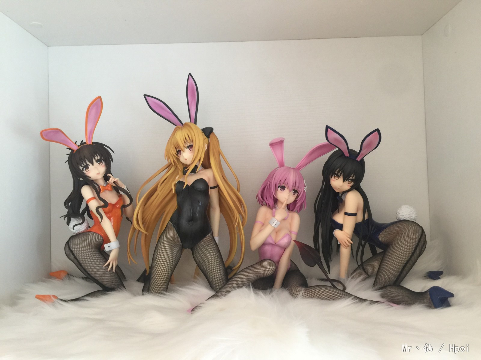 Freeing兔女郎战队——梦梦