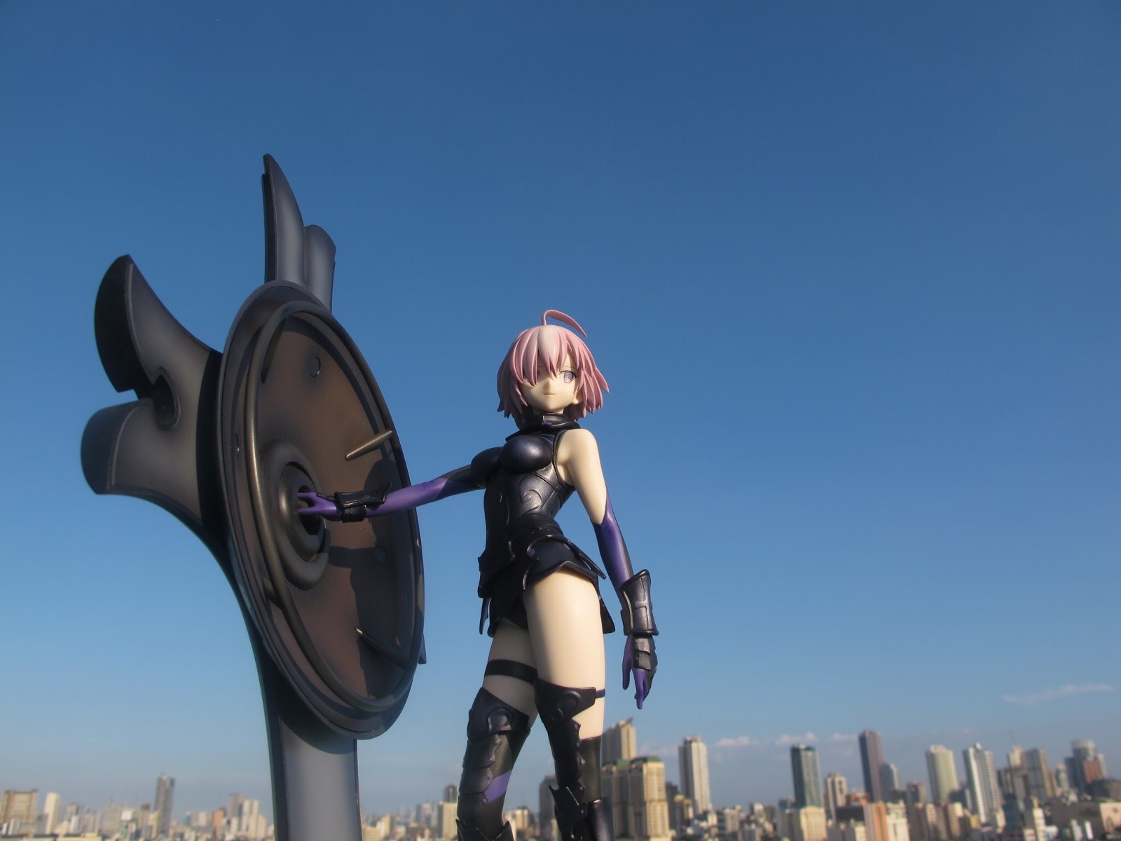 Fate / Grand Order Shielder