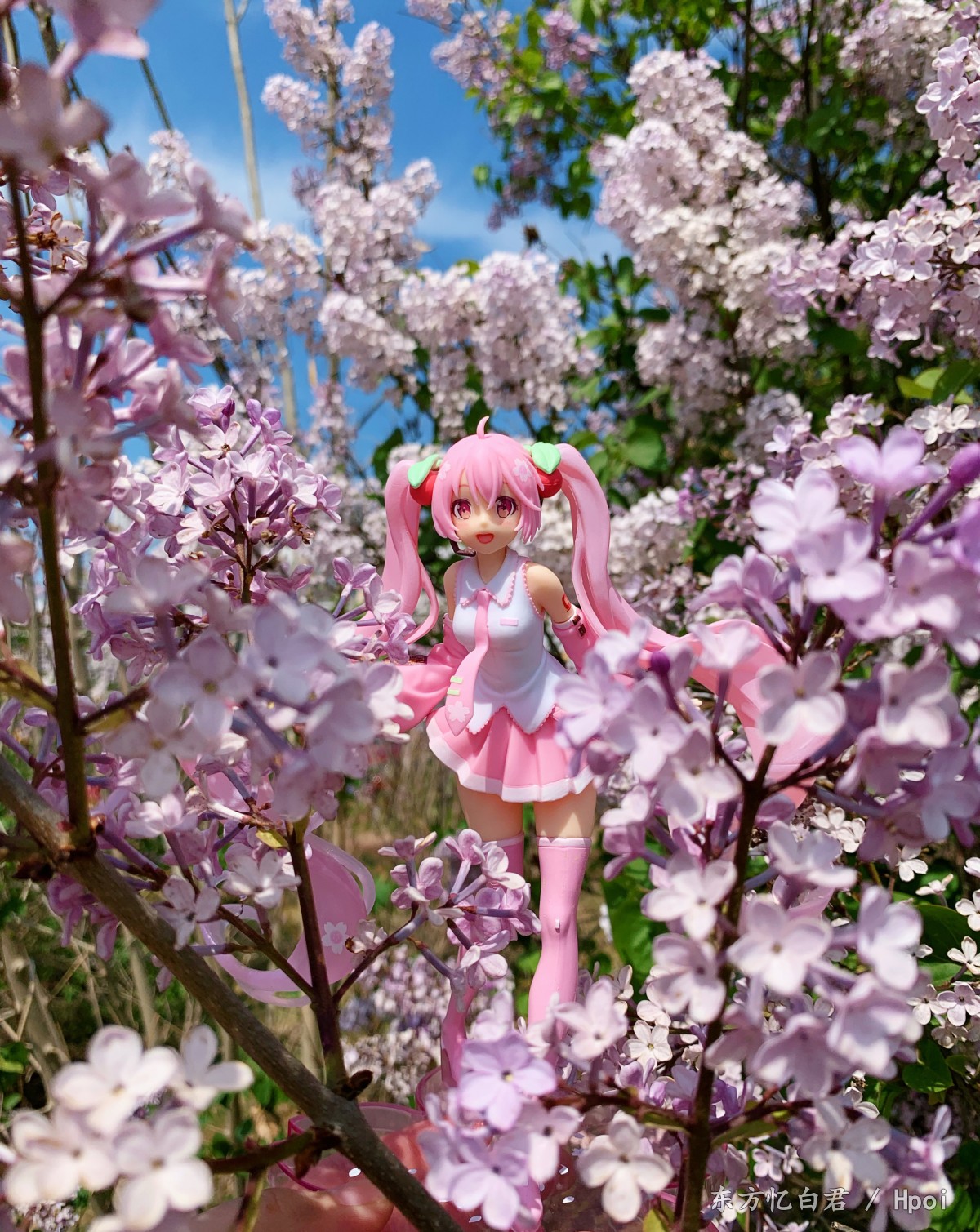 VOCALOID 初音未来 樱未来 新插画版