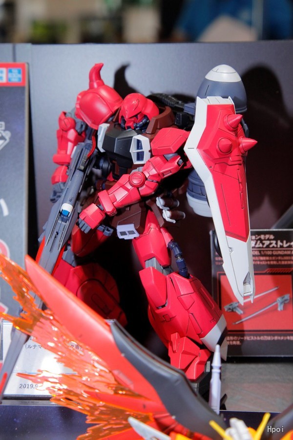 MG 机动战士高达SEED DESTINY  枪击型扎古勇士（露娜玛利亚·霍克专用）