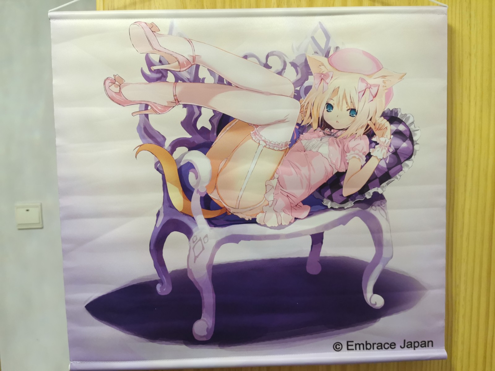 猫之惑星 椅子猫