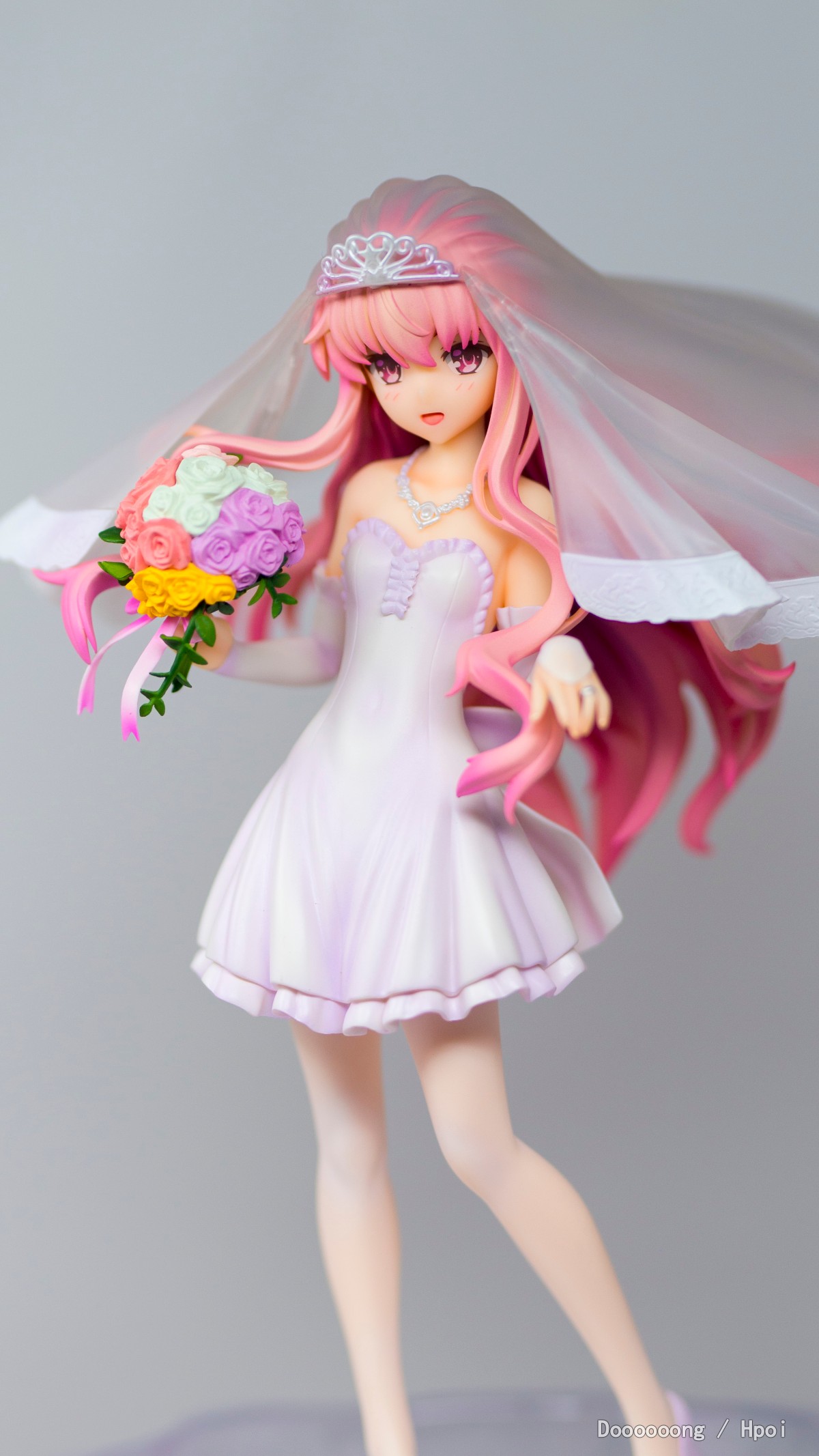 零之使魔-露易丝 到货