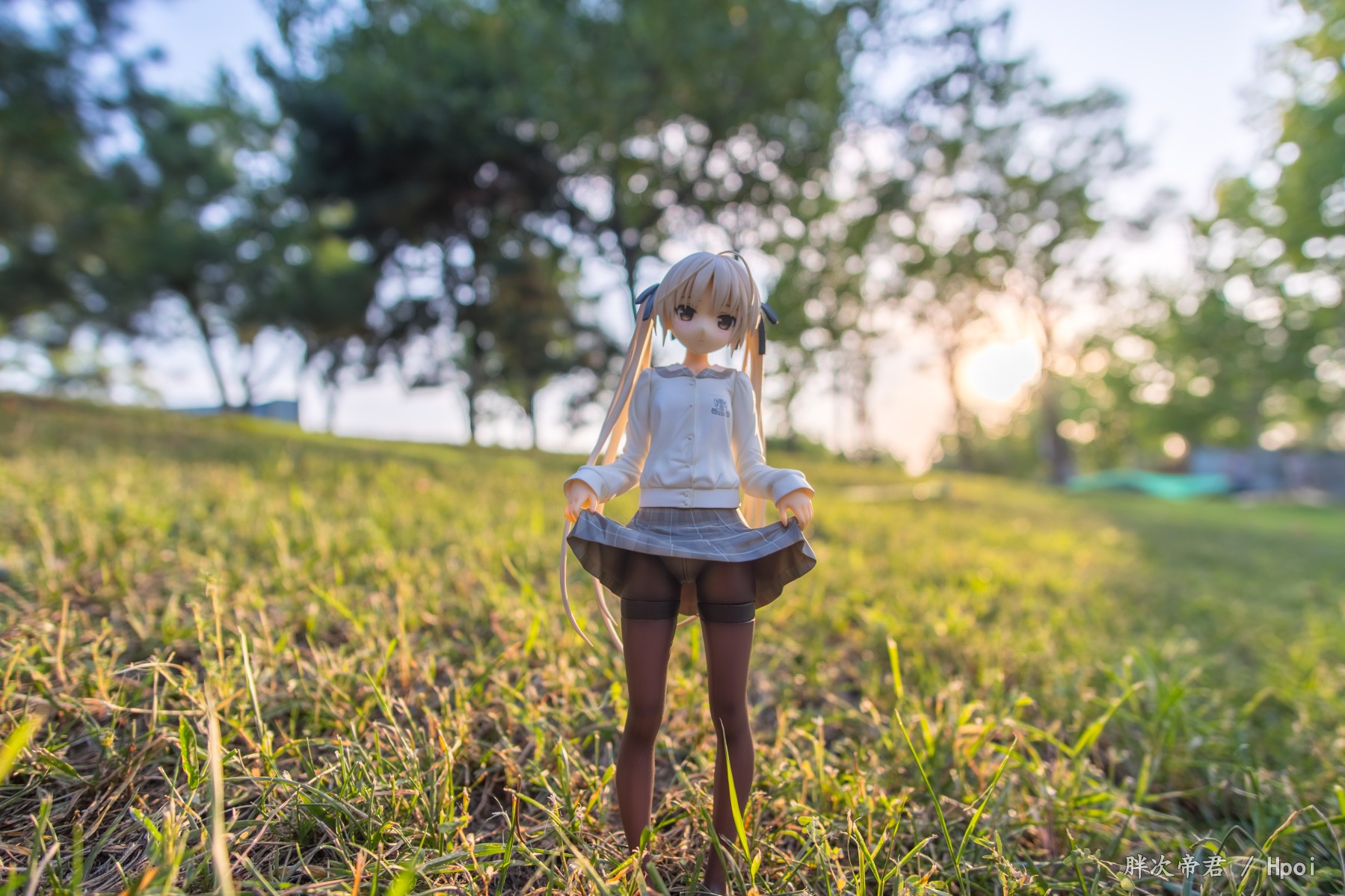 夏日·树林露出