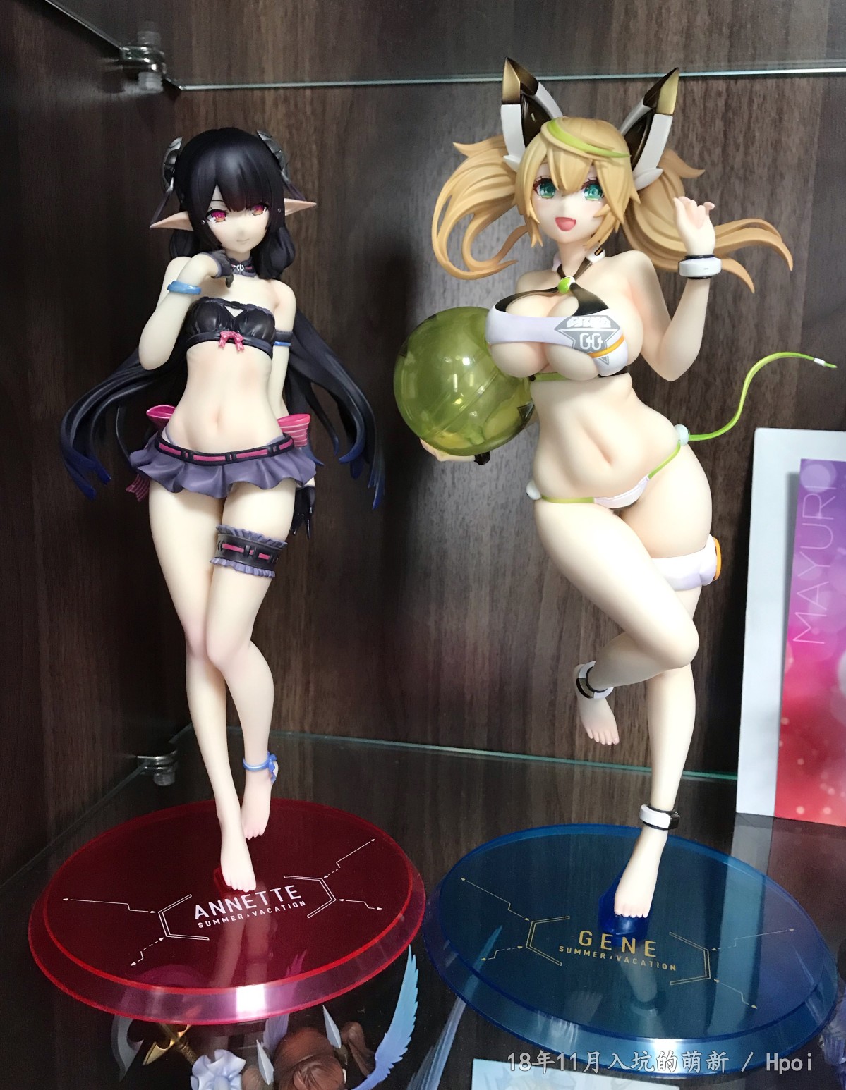 入坑一年小萌新，晒晒收藏