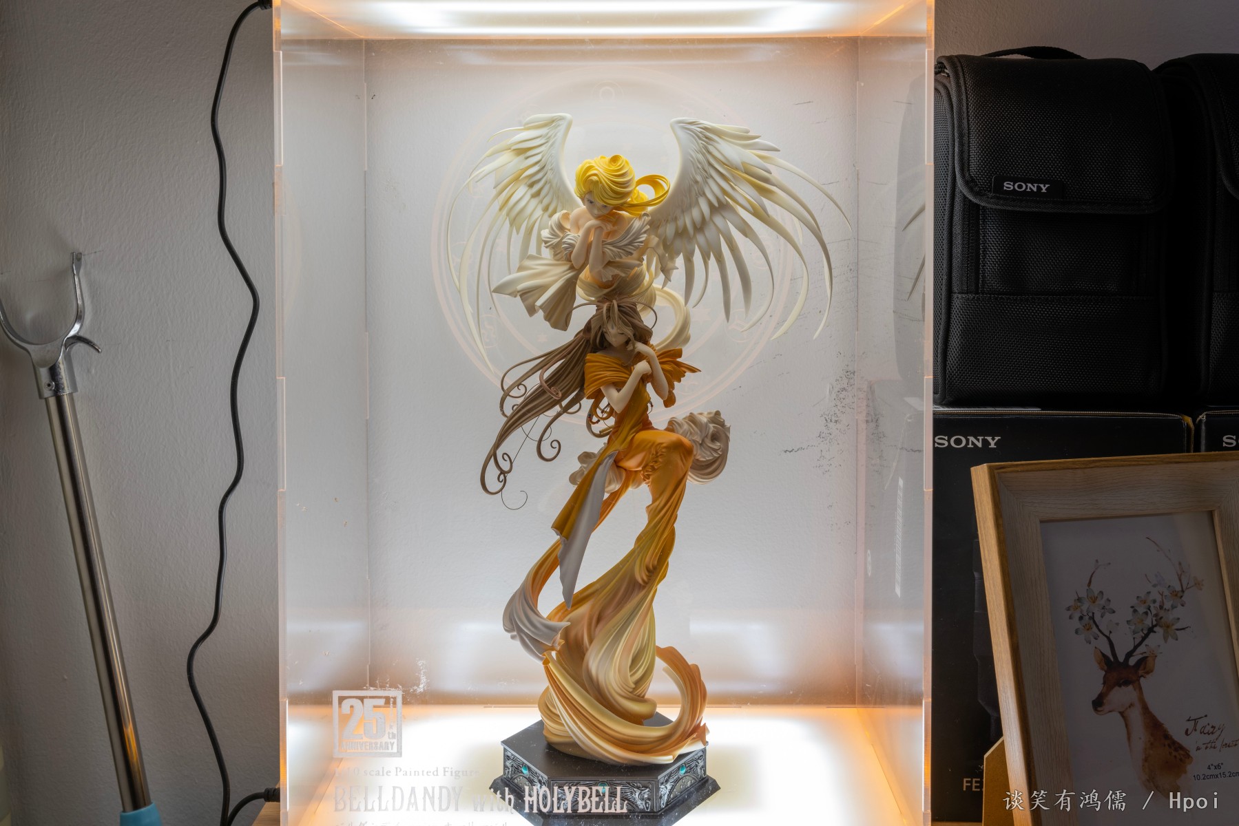 我的女神贝露丹迪