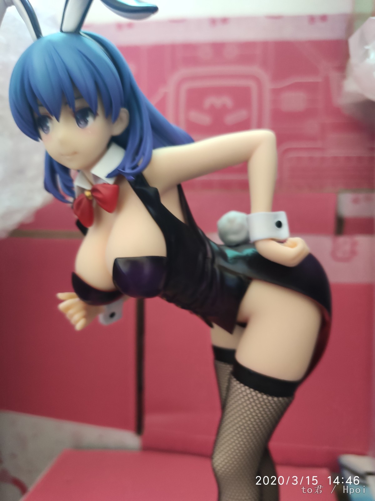 吹石花