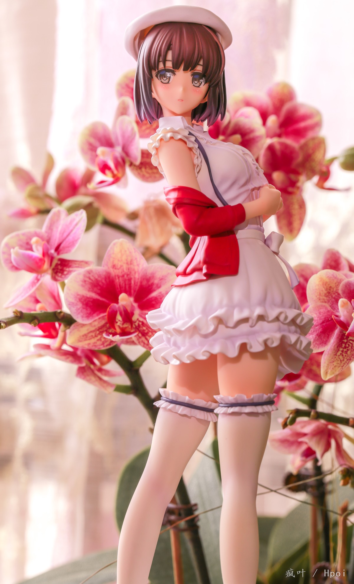 路人女主的养成方法 加藤恵