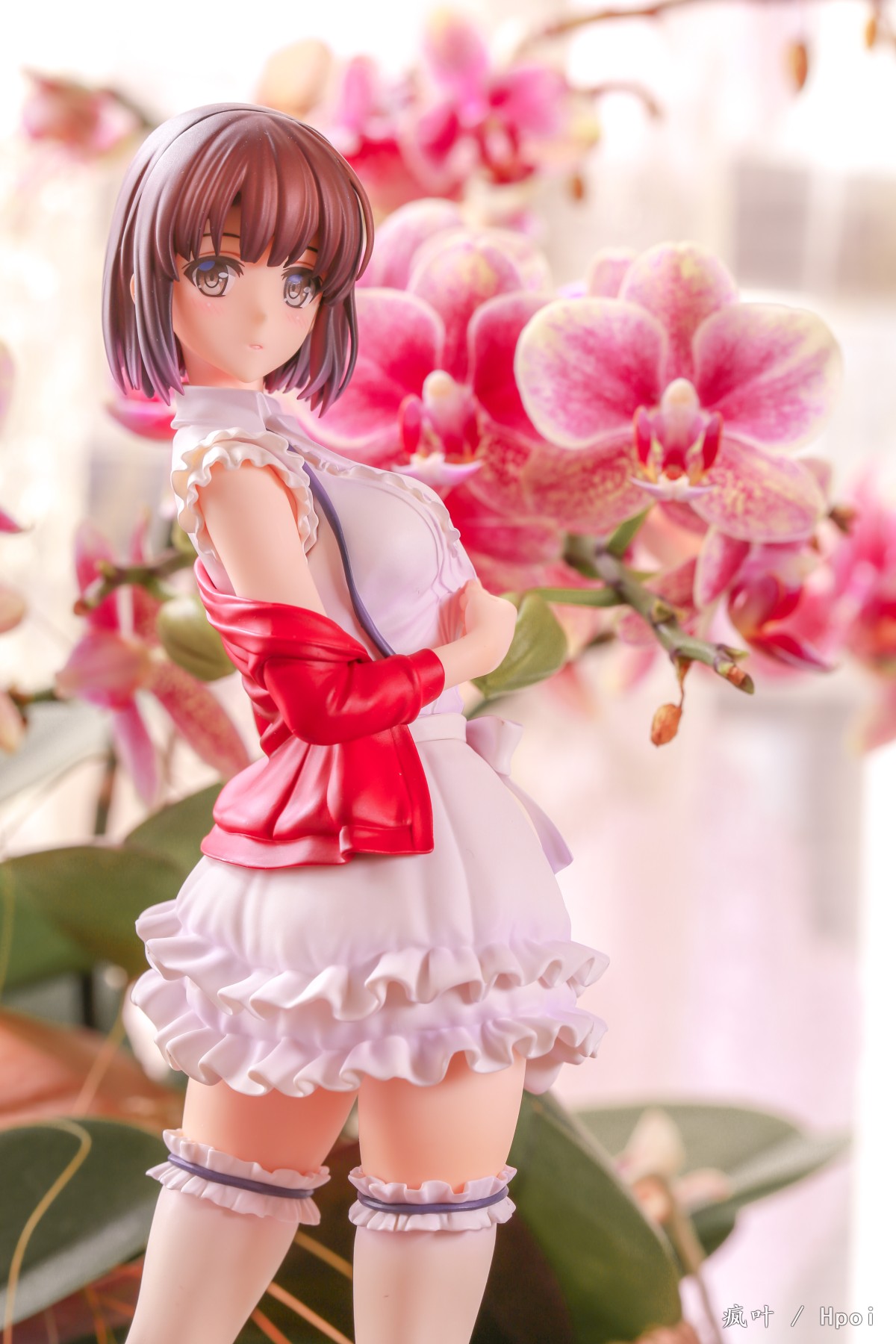 路人女主的养成方法 加藤恵