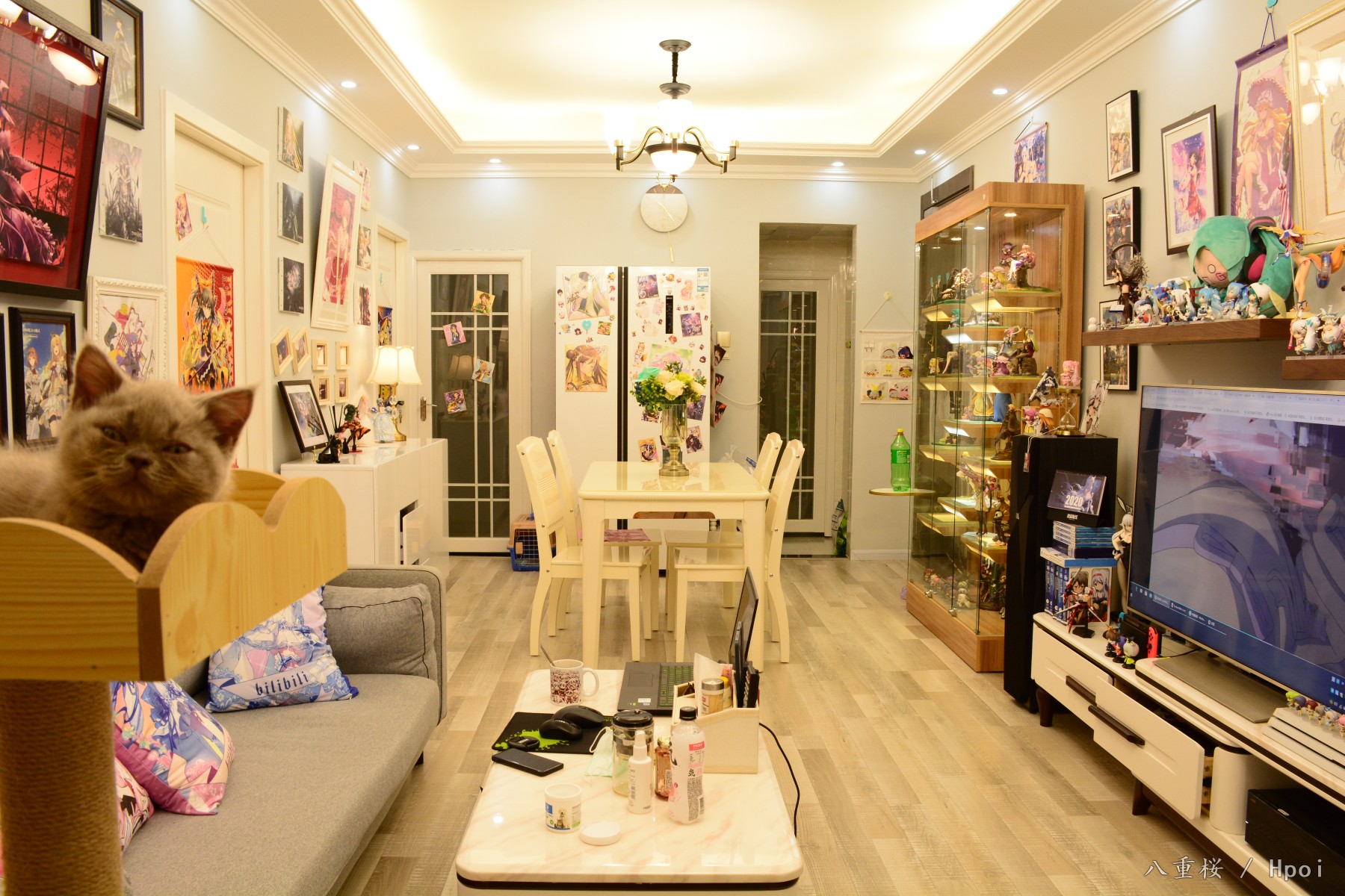 肥宅快乐房Ver3.0！