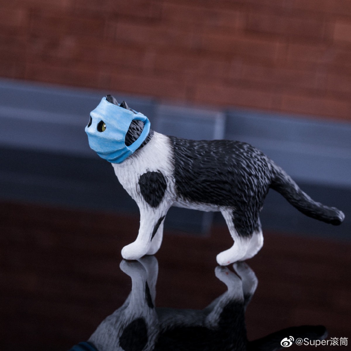 口罩猫