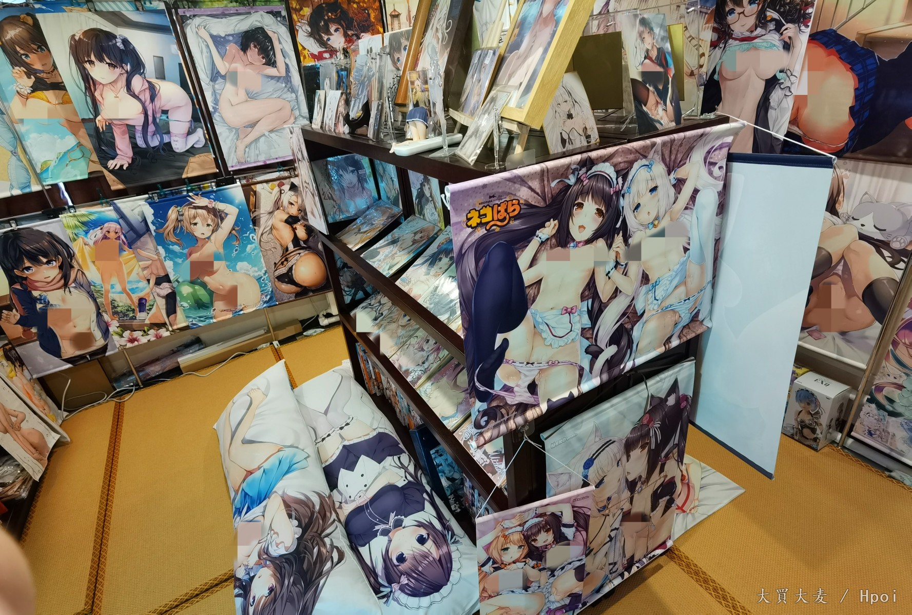 私人二次元娱乐室捣鼓成长记